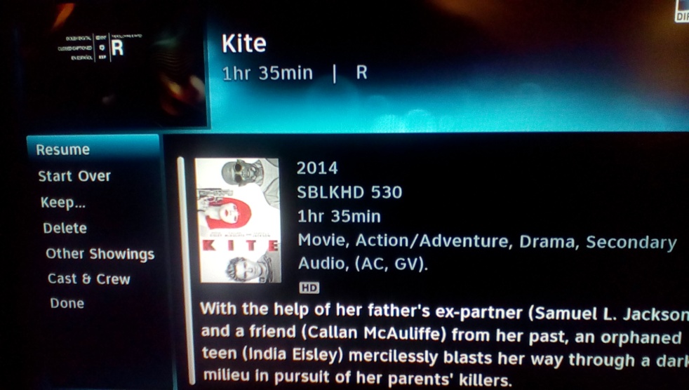 Kite 2014 movie